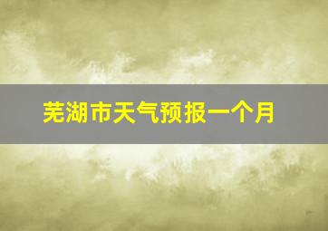 芜湖市天气预报一个月