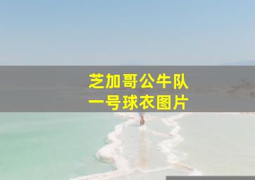 芝加哥公牛队一号球衣图片