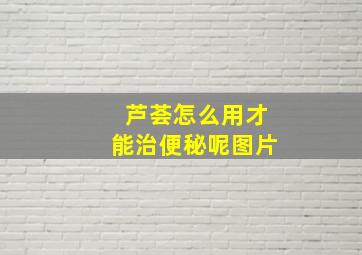 芦荟怎么用才能治便秘呢图片