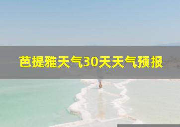 芭提雅天气30天天气预报