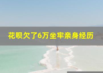 花呗欠了6万坐牢亲身经历