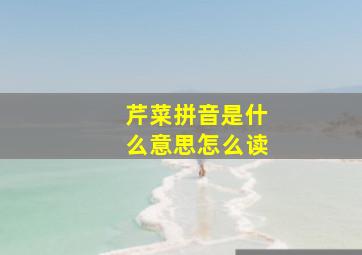 芹菜拼音是什么意思怎么读