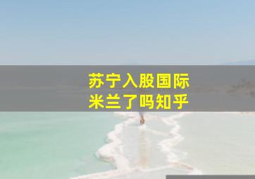 苏宁入股国际米兰了吗知乎