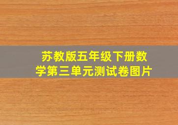 苏教版五年级下册数学第三单元测试卷图片