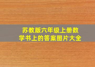 苏教版六年级上册数学书上的答案图片大全