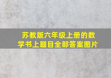 苏教版六年级上册的数学书上题目全部答案图片