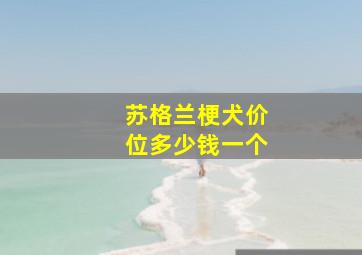 苏格兰梗犬价位多少钱一个