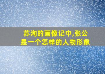 苏洵的画像记中,张公是一个怎样的人物形象