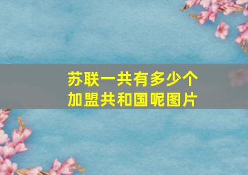 苏联一共有多少个加盟共和国呢图片