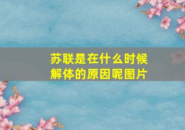 苏联是在什么时候解体的原因呢图片