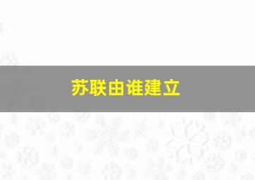 苏联由谁建立