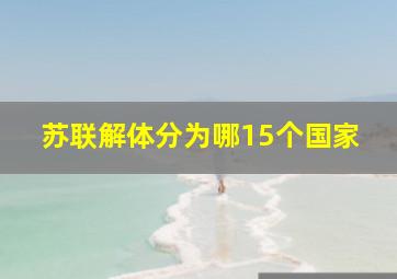 苏联解体分为哪15个国家