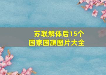 苏联解体后15个国家国旗图片大全