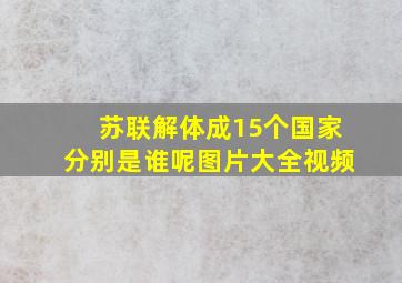 苏联解体成15个国家分别是谁呢图片大全视频