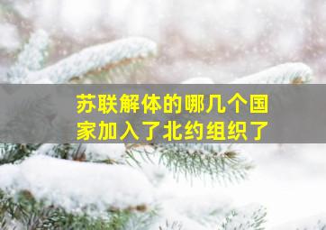 苏联解体的哪几个国家加入了北约组织了