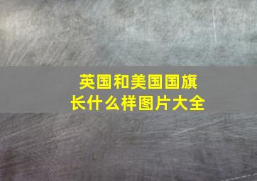 英国和美国国旗长什么样图片大全