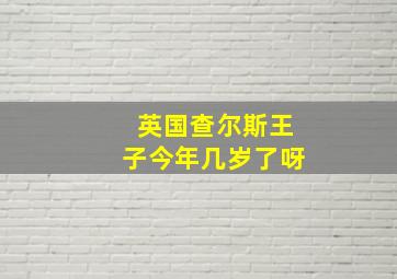 英国查尔斯王子今年几岁了呀