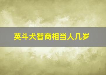 英斗犬智商相当人几岁