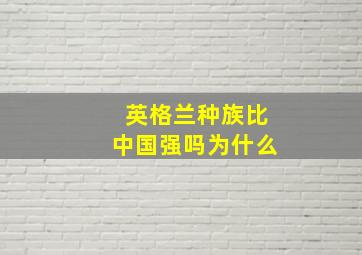 英格兰种族比中国强吗为什么