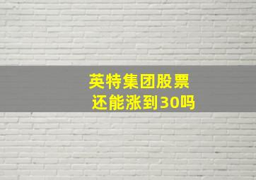 英特集团股票还能涨到30吗