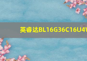 英睿达BL16G36C16U4W