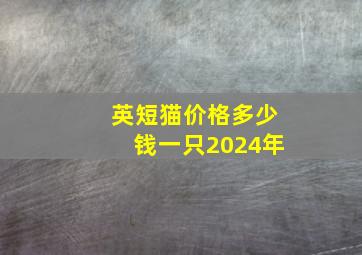 英短猫价格多少钱一只2024年