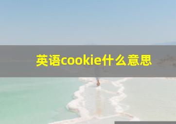 英语cookie什么意思