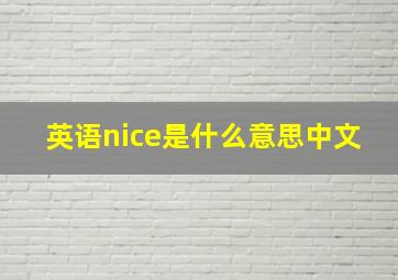 英语nice是什么意思中文