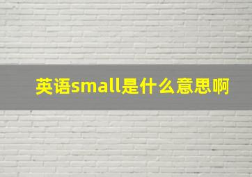 英语small是什么意思啊