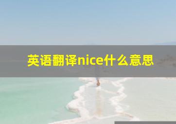 英语翻译nice什么意思