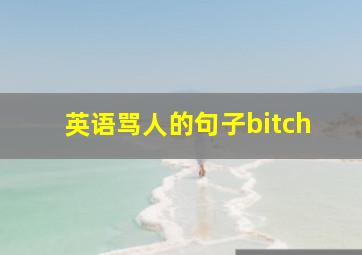 英语骂人的句子bitch