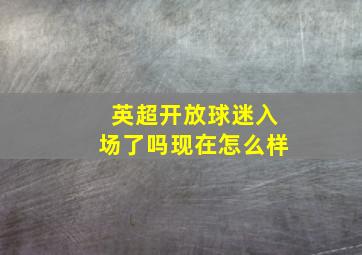 英超开放球迷入场了吗现在怎么样