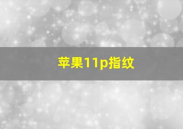 苹果11p指纹