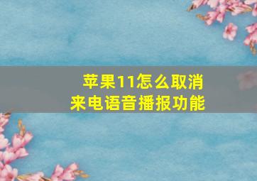 苹果11怎么取消来电语音播报功能