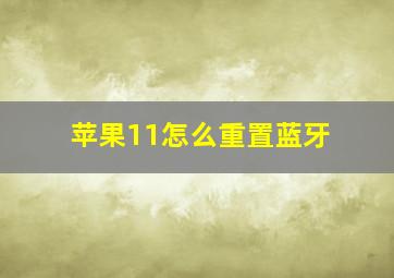 苹果11怎么重置蓝牙