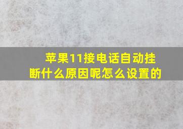 苹果11接电话自动挂断什么原因呢怎么设置的