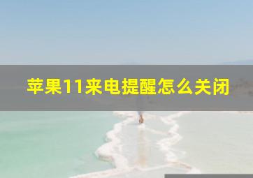 苹果11来电提醒怎么关闭