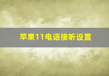 苹果11电话接听设置