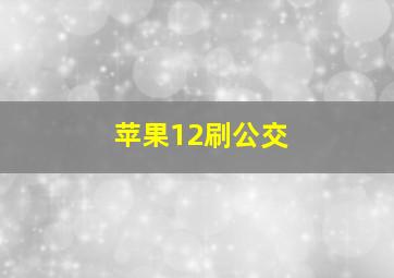 苹果12刷公交