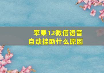 苹果12微信语音自动挂断什么原因