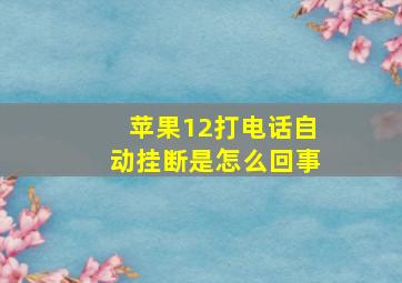 苹果12打电话自动挂断是怎么回事