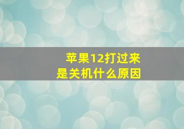 苹果12打过来是关机什么原因