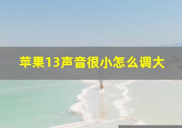 苹果13声音很小怎么调大