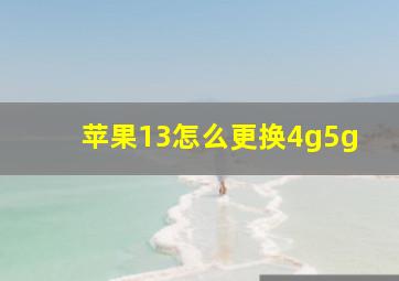 苹果13怎么更换4g5g