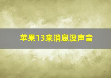 苹果13来消息没声音