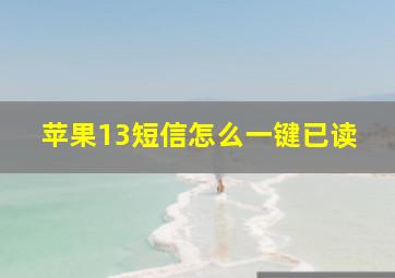 苹果13短信怎么一键已读