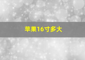 苹果16寸多大