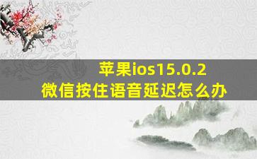 苹果ios15.0.2微信按住语音延迟怎么办