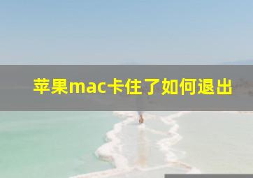 苹果mac卡住了如何退出