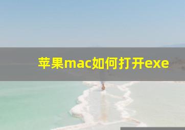 苹果mac如何打开exe